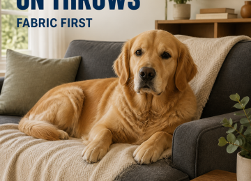 Golden retriever resting on a light beige throw blanket on a charcoal-gray sofa, with a lint brush on a side table.